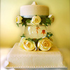 2-tier-wedding-cake-fish-bowl