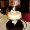 2-tier-tree-wedding-cake-chocolate